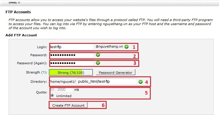Nhấn vào công cụ FTP Account tại phần quản lý File của cPanel